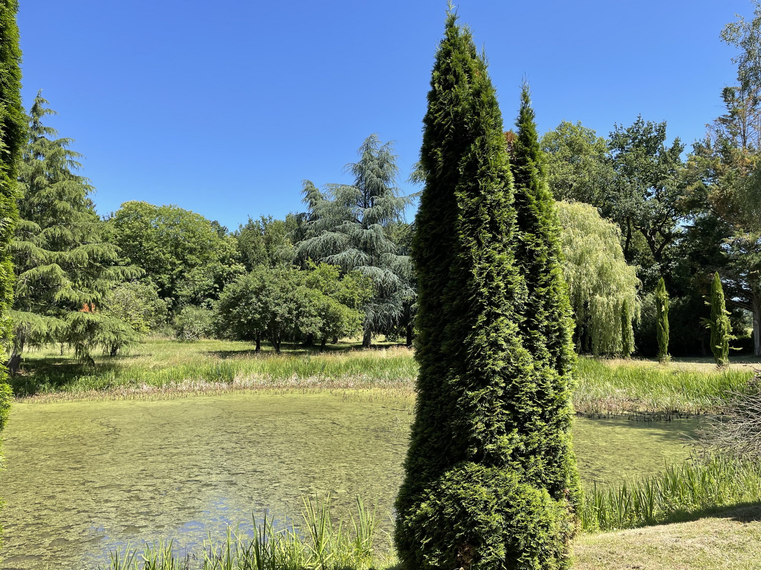 16th century property located 30 minutes from Angers-245m2- 1 hectare with pond.